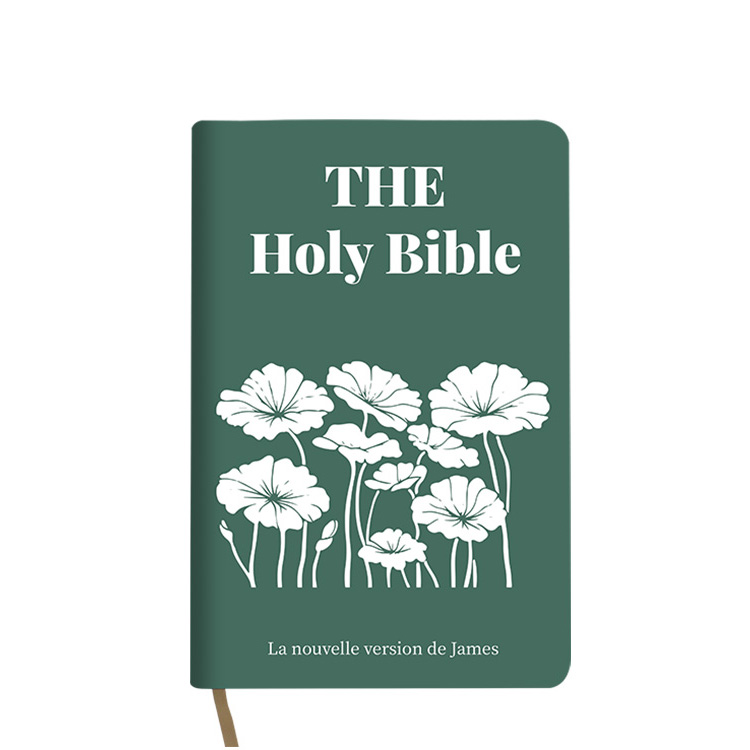 king James Version Reusable Standard Size Holy Bible king James Version Reusable Standard Size Holy Bible