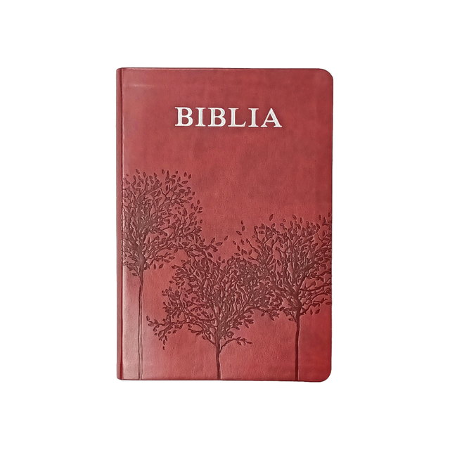 Personalized Wholesale Handmade Leather Bible Covers Bible Paper Book Printing Open Bible Kjv Large Print
