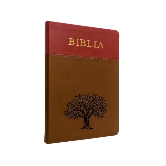Good Quality Custom Bible in Spanish Holy King James Version Bible Book Printing Niv Bold Print Bible