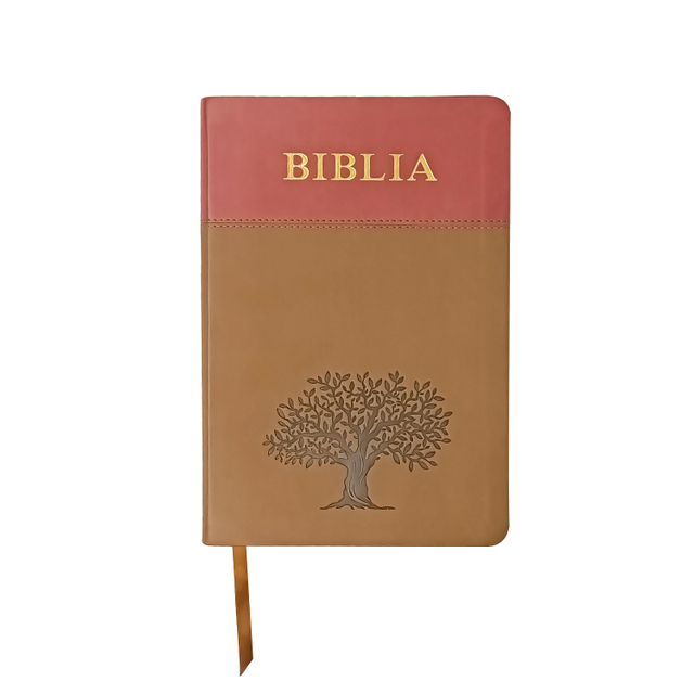 Good Quality Custom Bible in Spanish Holy King James Version Bible Book Printing Niv Bold Print Bible