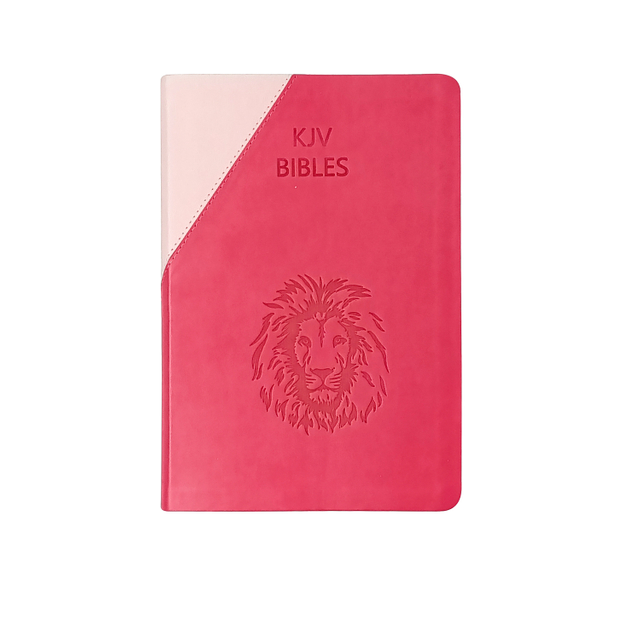 Custom High Level Designer Embossed Soft PU Cover Holy English Book Printing House Bible Revised English Bible Large Print