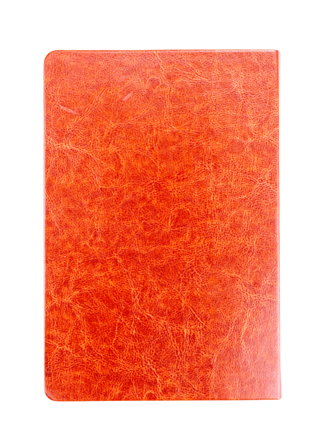 Hot Sales Different Color Pu Leather Cover Book Printing Service Professional Custom Logo Pattern English Bible Versions