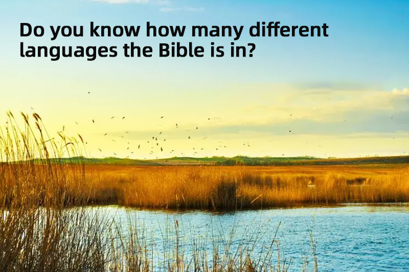 Do you know how many different languages the Bible is in?