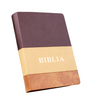 Hot Sales Wholesale Embroidery Pu Four Color Bible Paper Book Printing House Professional English Bible Reading Custom