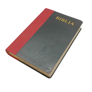 Lowest Price Factory Customized Cheap Book Printing Holy Bible in English Online