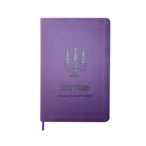 High Quality Gift Size Holy Bible Standard Size Blue Pu Holy Bible Cover king James Version La Biblia for Girls