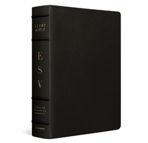 Soft Cover Creative Pu Leather Design Hot Stamping Spine Gold Edge Custom Logo OEM ODM Wholesale Wholesale Soft PU Cover Bibles Manufacturer