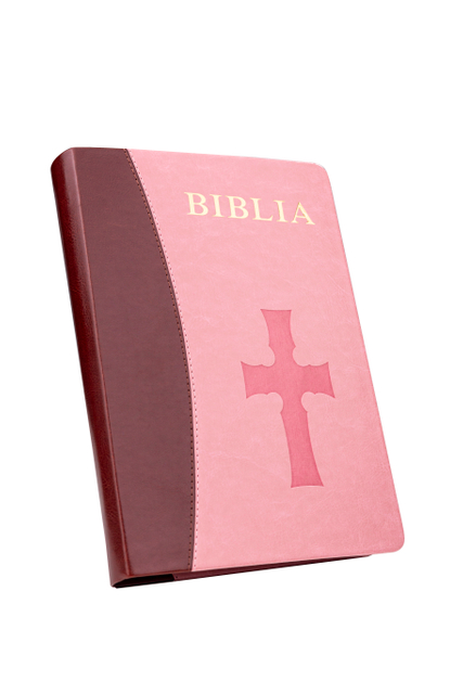 Factory Wholesale Customized Hot-selling Designer Hot Stamping Mixed Color Soft PU Leather Cover English Bible Versions