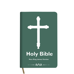 High Reputation Wholesale Innovative Pocket Design KJV Bible Book
