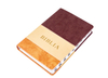 Hot Sales Wholesale Embroidery Pu Four Color Bible Paper Book Printing House Professional English Bible Reading Custom