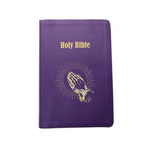 Hot Sale Smooth Printing Bible Paper English Bible King James Version Bible Book Printing