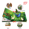 Customized Children's Picture Books Wholesale Children's Book Printing Service