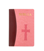 Factory Wholesale Customized Hot-selling Designer Hot Stamping Mixed Color Soft PU Leather Cover English Bible Versions